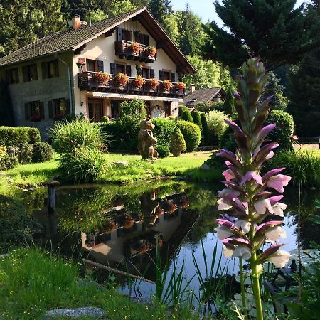 Chambres D'Hotes Des Cascades St-Nicolas Kruth Zewnętrze zdjęcie