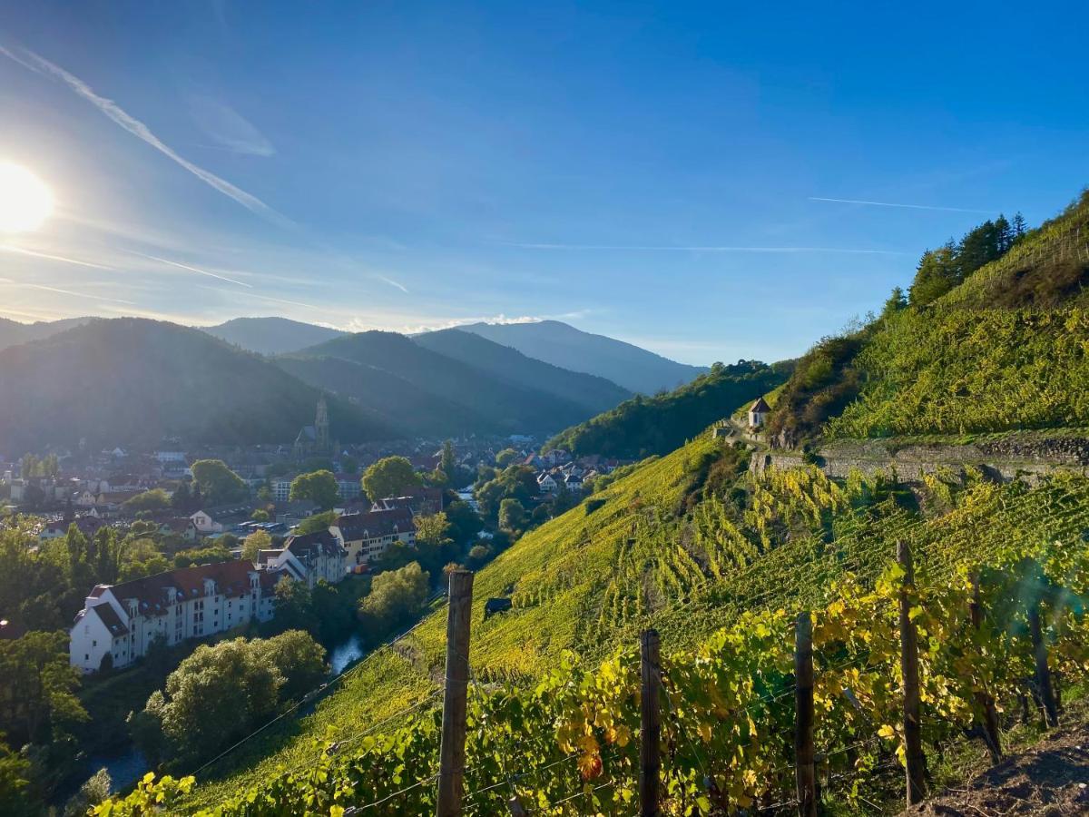 Chambres D'Hotes Des Cascades St-Nicolas Kruth Zewnętrze zdjęcie