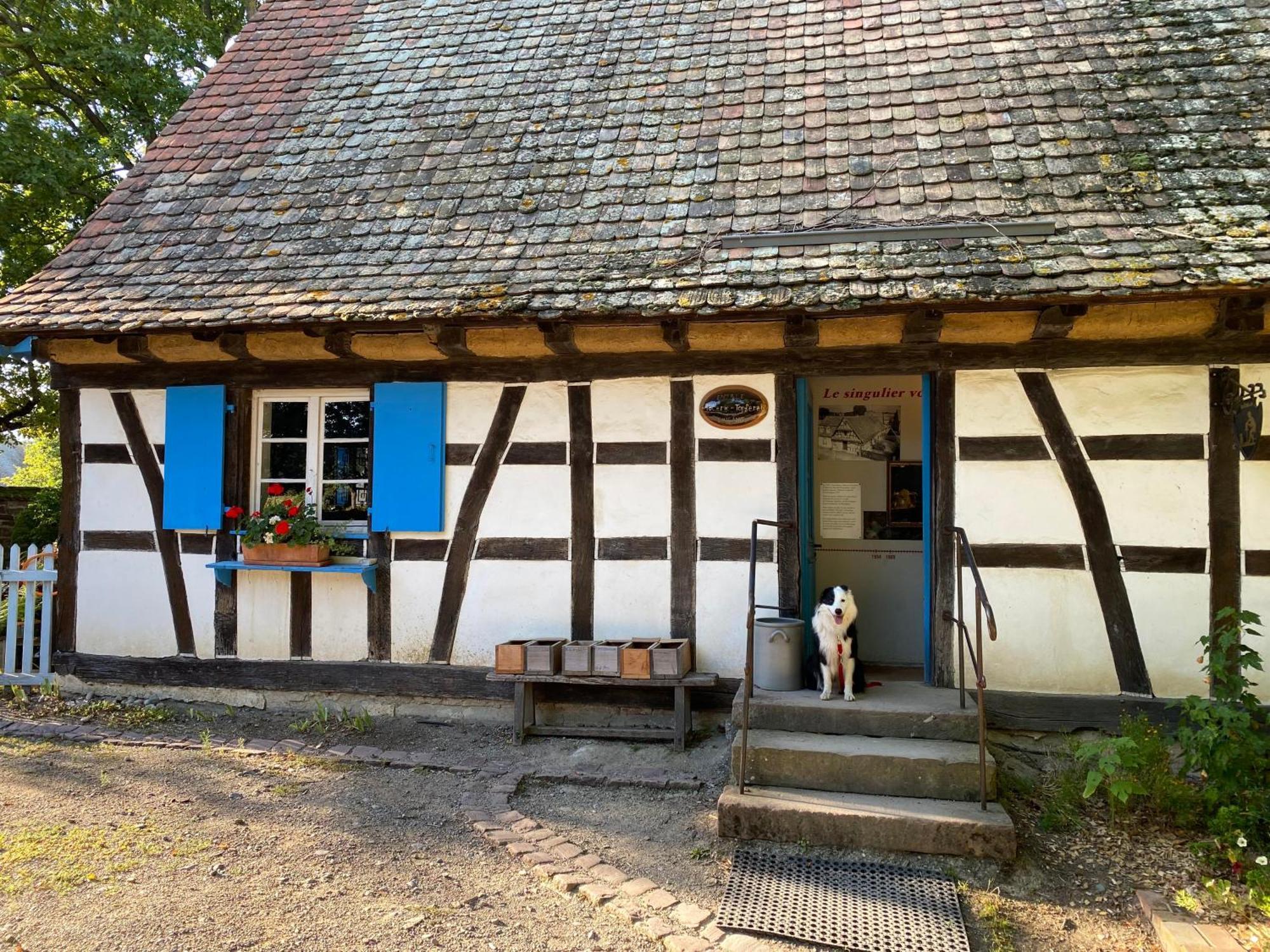 Chambres D'Hotes Des Cascades St-Nicolas Kruth Zewnętrze zdjęcie
