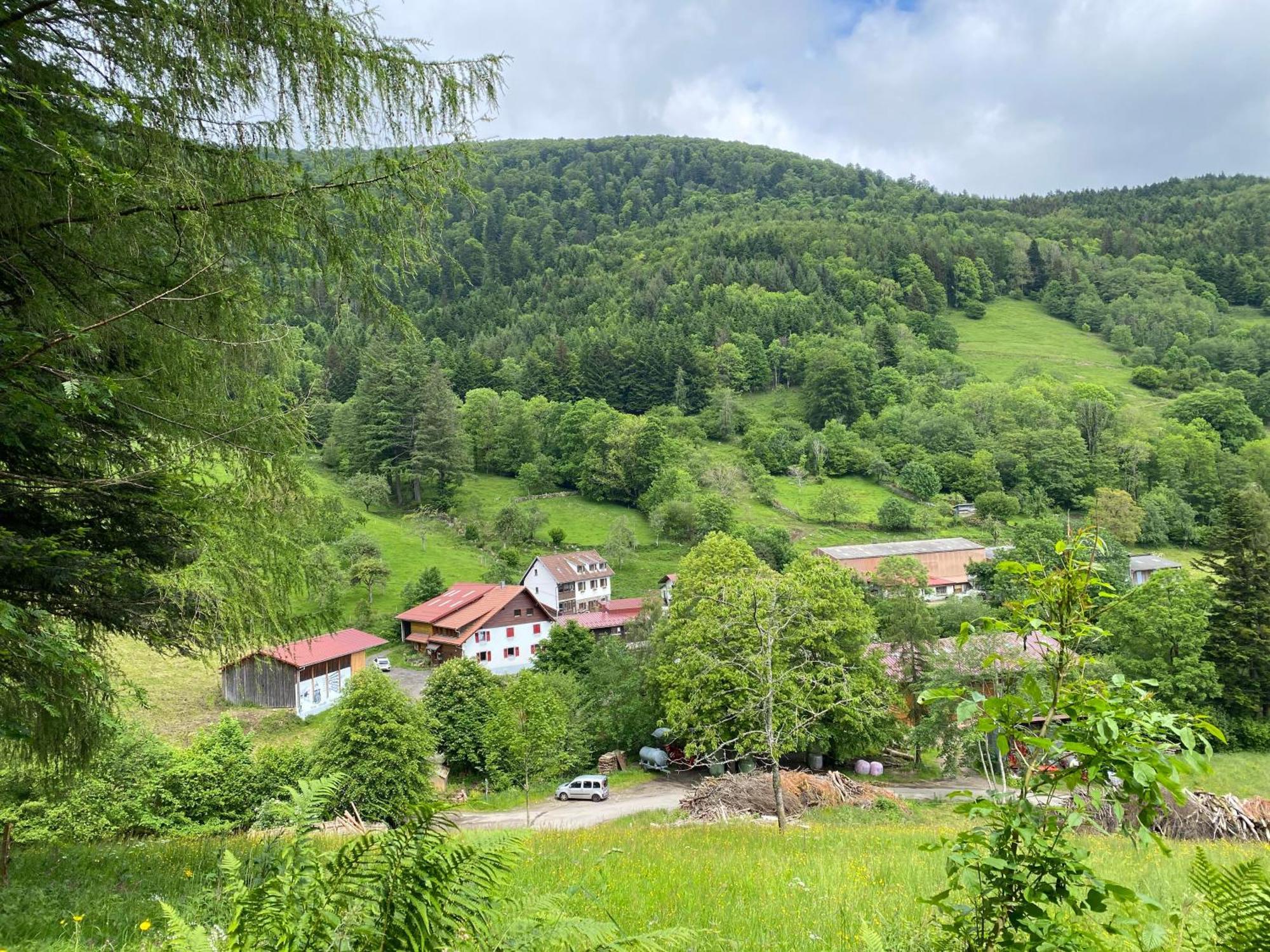 Chambres D'Hotes Des Cascades St-Nicolas Kruth Zewnętrze zdjęcie